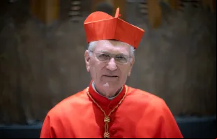 O arcebispo de Manaus, Cardeal Leonardo Ulrich Steiner.