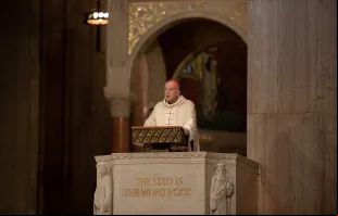 Dom Robert cardeal McElroy fez ontem (11) sua primeira homilia como arcebispo de Washington D.C., EUA, na basílica do Santuário Nacional da Imaculada Conceição.