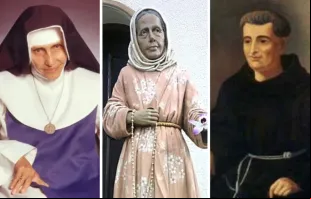 Santa Dulce dos Pobres, beata Nhá Chica e são Frei Galvão