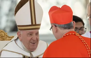 Papa Francisco cria 21 novos cardeais em um consistório hoje (30)
