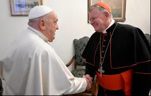 Cardeal Jaime Spengler em encontro com o papa Francisco em fevereiro deste ano