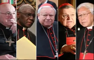 Da esquerda para a diretia: o cardeal alemão Walter Brandmüller; o cardeal Robert Sarah, da Guiné; o cardeal mexicano Juan Sandoval Íñiguez, o cardeal americano Raymond Burke, e o cardeal chinês Cardinal Zen Ze-Kiun.