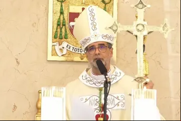 Dom José Ruy