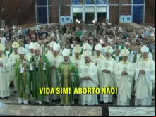 Regional Sul 2 da CNBB é favorável a vida e contra aborto proposto pela ADPF 442.