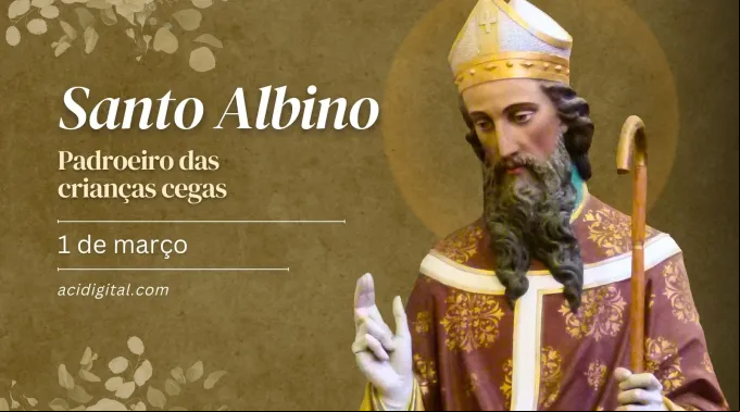 Santo Albino