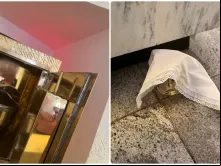 Sacrário foi violado e âmbula foi encontrada no chão da capela da  paróquia Santo Cura d'Ars.