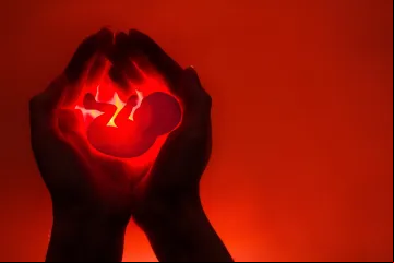 Aborto