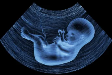 Imagem ilustrativa de bebê na barriga