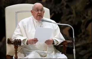 Papa Francisco na Audiência Geral de hoje (17)