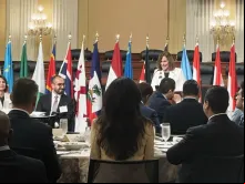 Terceiro aniversário da Declaração do Consenso de Genebra.
