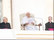 Papa Francisco na audiência geral de hoje (29) no Vaticano.