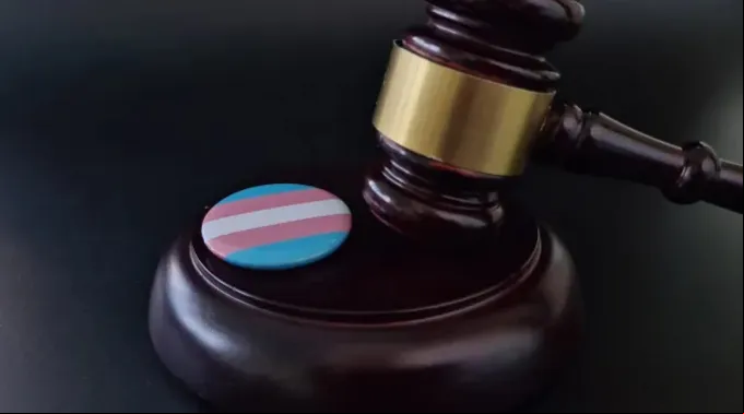 Ativismo judicial e ideologia de gênero ?? 