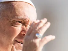 Papa Francisco hoje (28).
