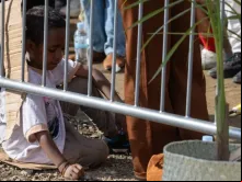 Criança sentada em papelão assiste a missa celebrada hoje (10) pelo papa Francisco em Timor-Leste. | Crédito: Daniel Ibáñez/EWTN News