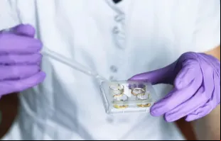 Fertilização in vitro. Imagem referencial.