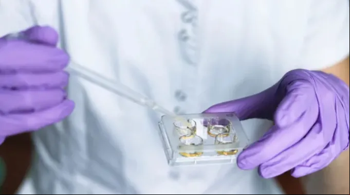 Fertilização in vitro ?? 