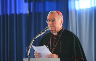 “Quanto a 'gênero', a Santa Sé sempre entende o termo como baseado na identidade sexual biológica que é masculina ou feminina”, disse o cardeal Pietro Parolin.