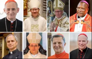 Cardeal Matteo Zuppi, cardeal Luis Tagle, cardeal Pietro Parolin, cardeal Fridolin Ambongo, cardeal  Robert Francis Prevost, cardeal Sérgio da Rocha, cardeal Mario Grech, cardeal Carlos Aguiar Retes.
