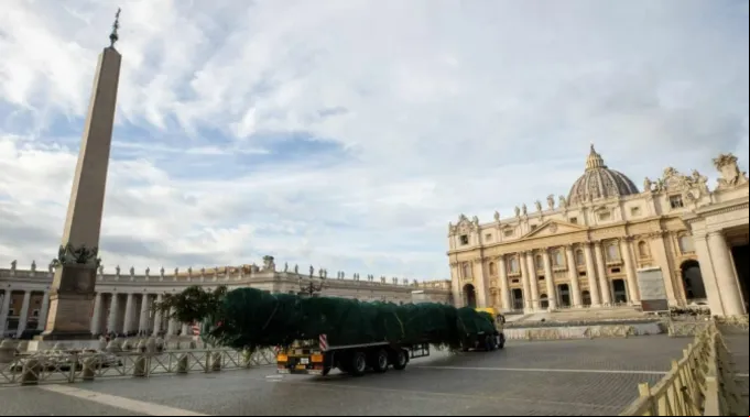 Árvore de Natal chega ao Vaticano ?? 