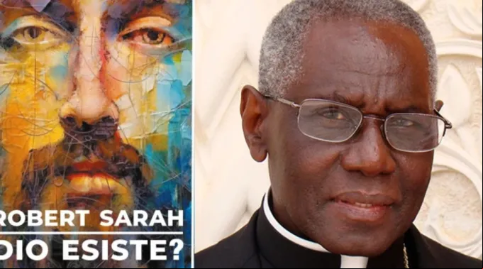 Capa do livro e cardeal Robert Sarah ?? 