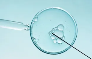 Fertilização in vitro. Imagem referencial.