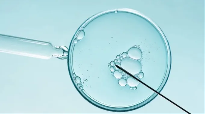 Fertilização in vitro. ?? 