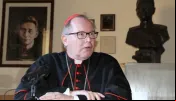Pontifícia Academia para a Vida deve esclarecer fiéis sobre terapias de gênero, diz cardeal