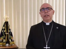 Dom Ricardo Hoepers em vídeo sobre a descriminalização do uso de drogas no Brasil. Foto: Captura de vídeo