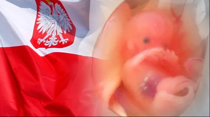 Aborto-Polonia_FlickrSuparnaSinhaCC-BY-SA-2.0-WikipediaOlekRemeszCC-BY-SA-3.0.jpg ?? 