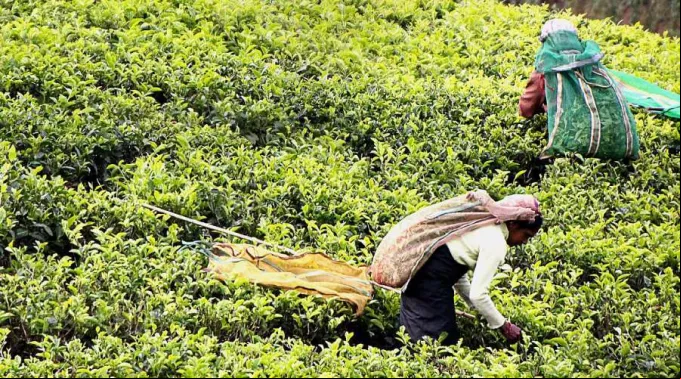 Agricultores_290420_Pixabay.jpg ?? 
