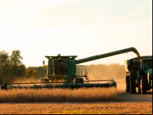 Trabalhos agrícolas.