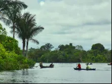 Imagem referencial. Amazônia.