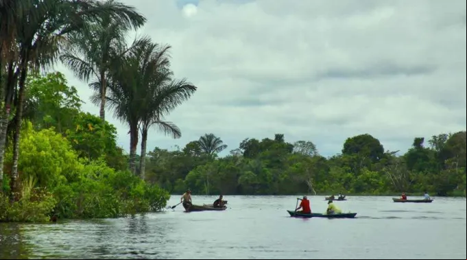 Amazonia-Eduardo-Berdejo-200819.jpg ?? 