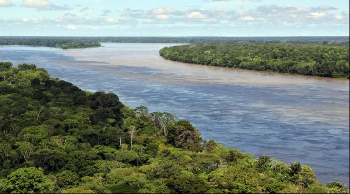 Amazonia17072019_FotoWikimedia.jpg ?? 