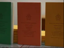 Exortação apostólica Amoris Laetitia do Papa Francisco.