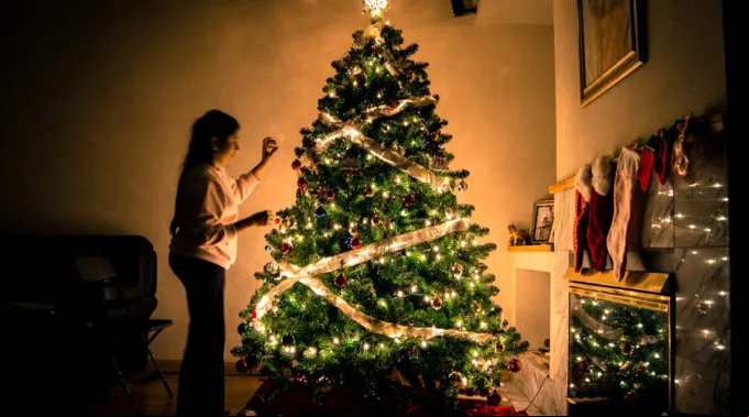 Arbol-Navidad-Arun-Kuchibhotla-Unsplash-301119.jpg ?? 