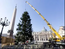 Árvore de Natal apresentada pela Polônia já está em São Pedro.