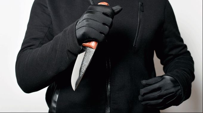 Asesinados600Nigeria_Pixabay_200520.gif ?? 