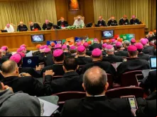 Bispos com o Papa Francisco durante o Sínodo para a Amazônia.