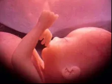 Bebê de 30 semanas no ventre materno.