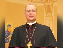 Dom Darci José Nicioli 