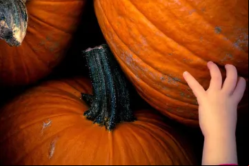 Calabazas_FlickrWillMontague_261016.jpg