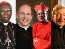 Cardeal Wilfred Napier, dom Thomas Paprocki, cardeal Francis Arinze e cardeal George Pell são quatro dos 74 bispos que am a carta.