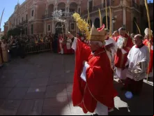 Cardeal Antonio Cañizares durante o Domingo de Ramos 
