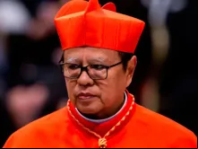 Arcebispo de Jacarta, Cardeal Suharyo Hardjoatmodjo. Crédito: Daniel Ibáñez