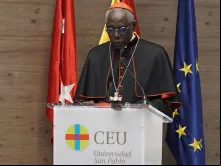 Cardeal Robert Sarah durante a apresentação do Congresso Católico e Vida Pública, em Madri (Espanha). Crédito: Congresso Católico e Vida Pública.