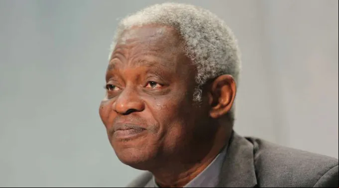 CardenalTurkson-ACIPrensa-22102019.jpg ?? 