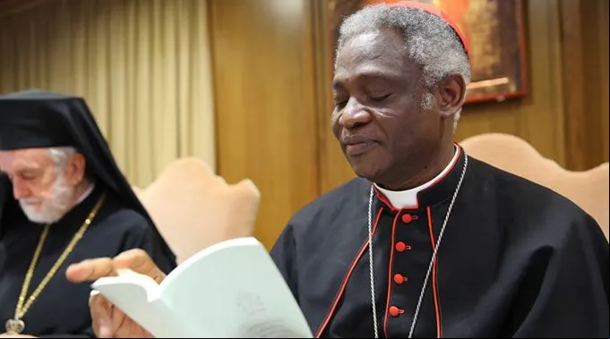 CardenalTurkson_BohumilPetrikACIPrensa_180615.jpg ?? 