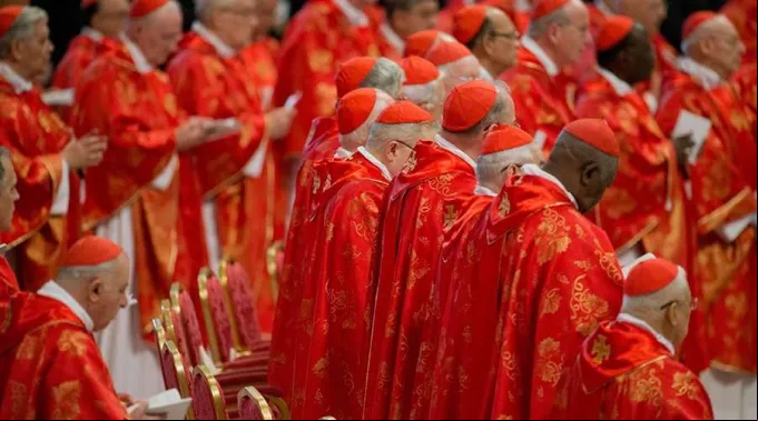 Cardenales-en-la-BasiYlica-de-San-Pedro-Foto-Jeffrey-Bruno-ACI-Prensa.jpeg ?? 
