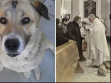 Ciccio